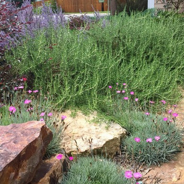 Rosemary and dianthus soften hardscape.