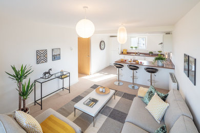 Design ideas for a contemporary living room in Other.
