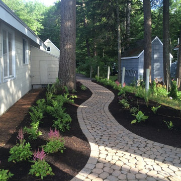 Narrow yard planting