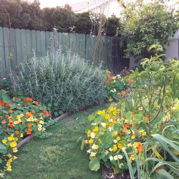 Demonstration Gardens