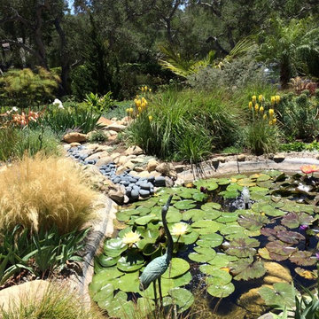 Montecito Drought Garden