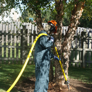 Lawn Care