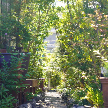 側庭に生まれた山道の気配 / A Quiet Path Through Greenery