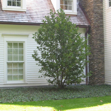 Modern Farmhouse