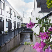 Houzz Tour: Fra “gammel kattebakke” til vidundervilla i Taarbæk