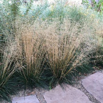 Healdsburg, California Backyard Retreat