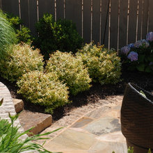 Backyard Landscape