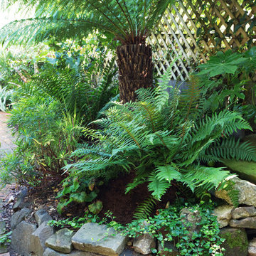 Secluded exotic garden