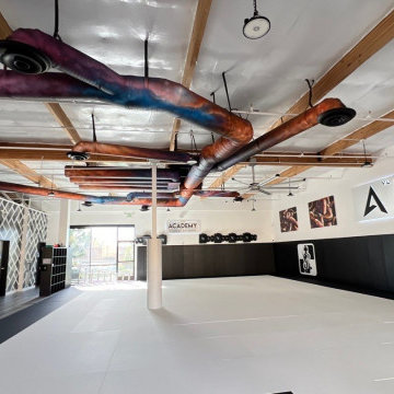 Jujitsu Academy Tenant Improvement