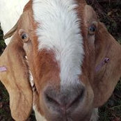 Michele May's photo