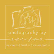Photography By Sue Fox's photo