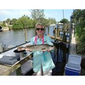 Nancy Stoll's photo