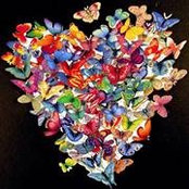 Foto von Pierrette Arsenault