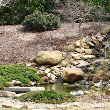 Custom Landscapes