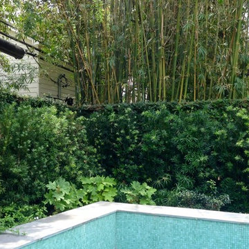 Green Hideaway