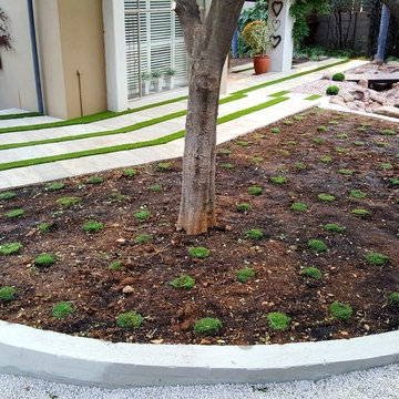 Faerie Glen make over existing garden