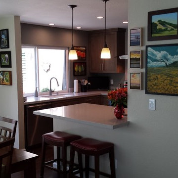 Town Home kitchen remodel in Novato Ca