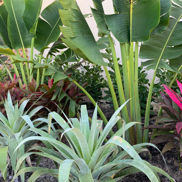 Tropical appeal for equestrian farm entrance