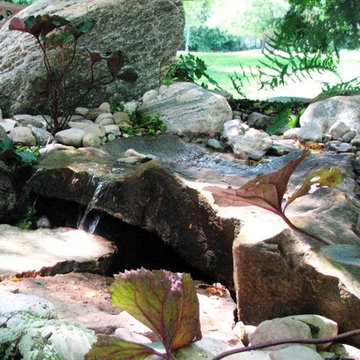 Ponds & Water features
