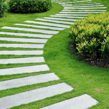 Landscape Gallery