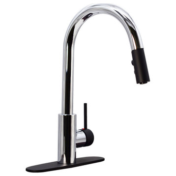 Kitchen Faucet Pull Down Dual Spray Hand Shower, Chrome/Black