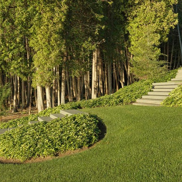 A Modernist Oasis