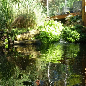 Pond and Water Features