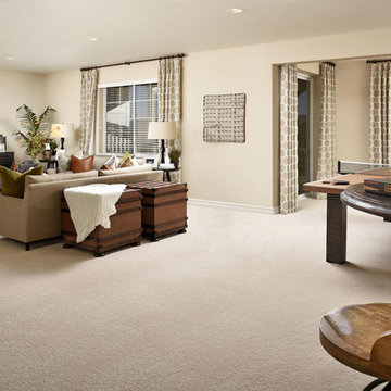 Delaney model home in Colorado