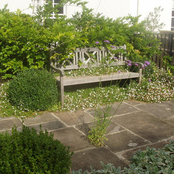 Bath Town Garden