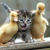 Sam Roberts's photo