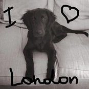 Lorenza Ciani's photo