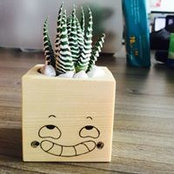 Nguyen Vu's photo