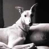 Julie Clouse's photo