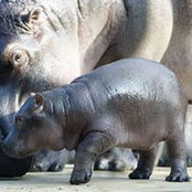 Eti Sternberg's photo