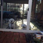 Kim Szabo's photo
