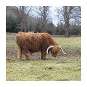 Paul Sokolnicki's photo