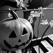 Anndi Pena's photo