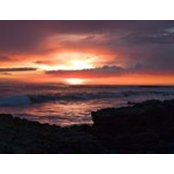 Tracy Rodriguez's photo