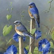 Vickie Robinson Weaver's photo