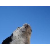 Nancy's photo
