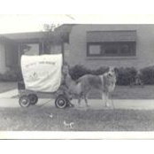 Robert Johnson's photo