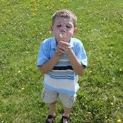 Elizabeth Albrecht's photo