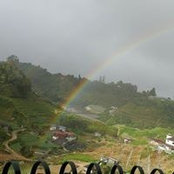 Jessie Lim's photo