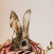 Sue Gable's photo