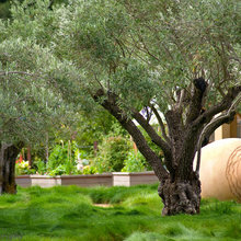 Terracota Garden