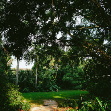 South Florida Rainforest