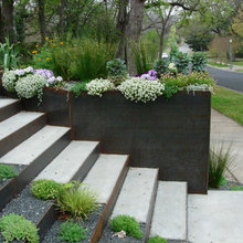 Back steps
