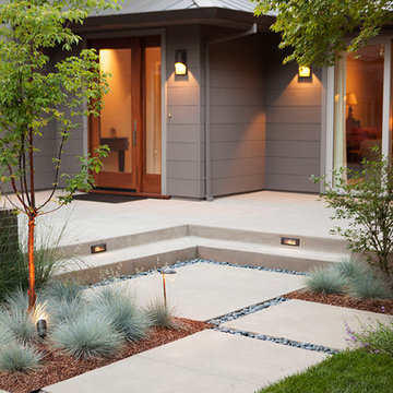 Contemporary Patio