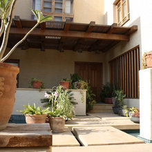 plants