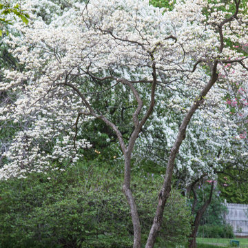 New England Garden